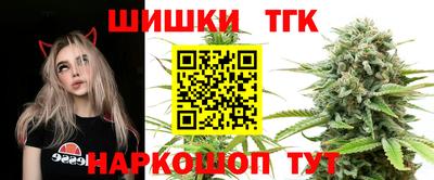 эйфоретик Гай
