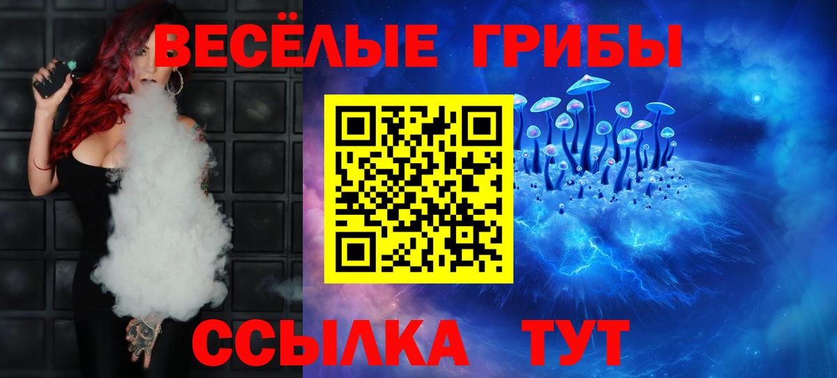 Псилоцибиновые грибы мицелий  Вход с VPN  купить  цена  Грозный 